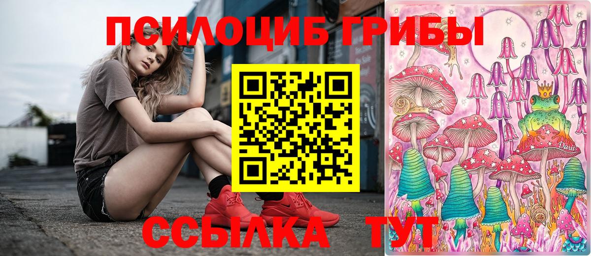 Псилоцибиновые грибы прущие грибы Ростов Великий
