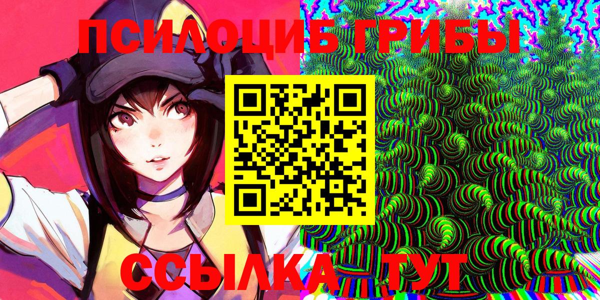 Псилоцибиновые грибы Psilocybine cubensis  Вход с VPN  Ростов Великий 